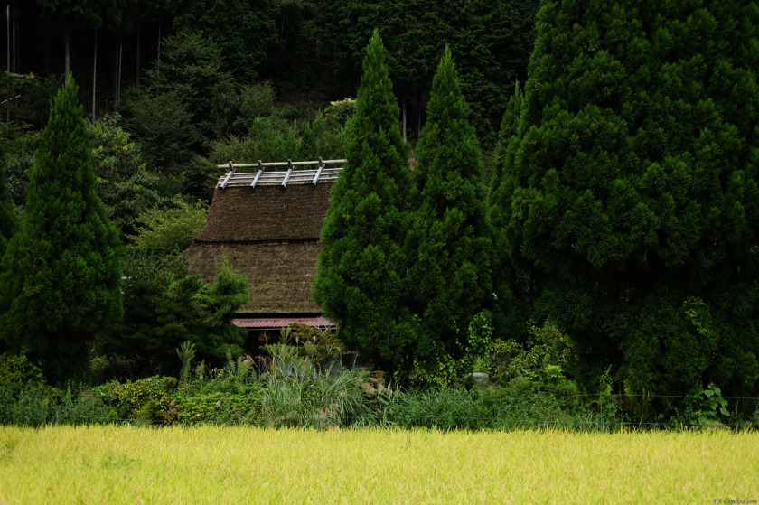 tak1709_Miyama06.jpg