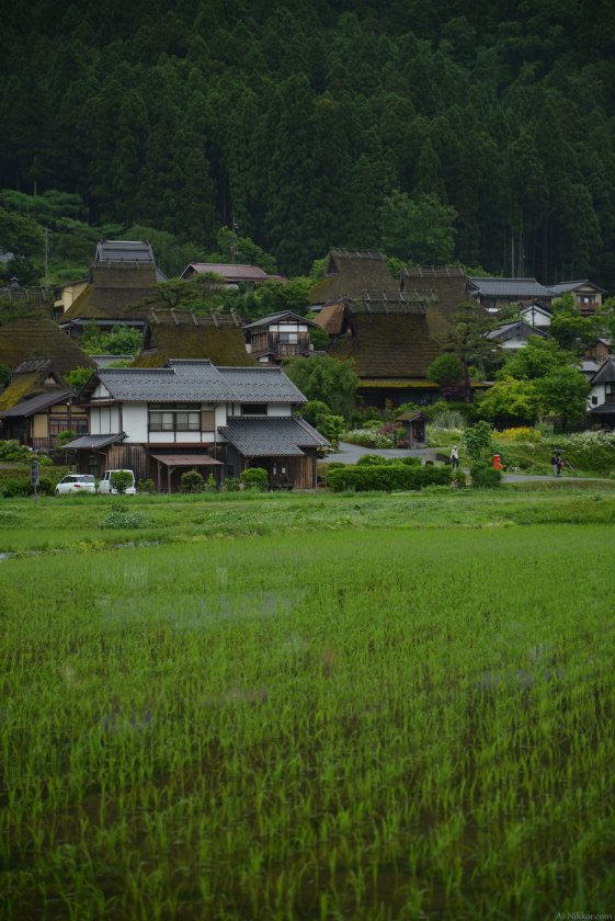 201605_Miyama02.jpg