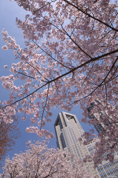 200903_Shinjuku01.jpg