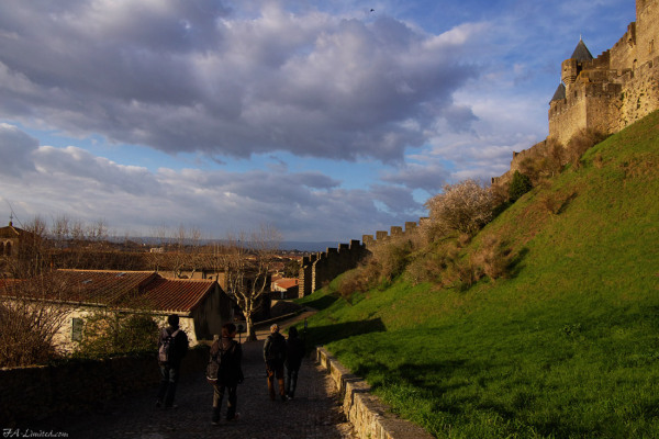 tak0703_carcassonne_01.jpg